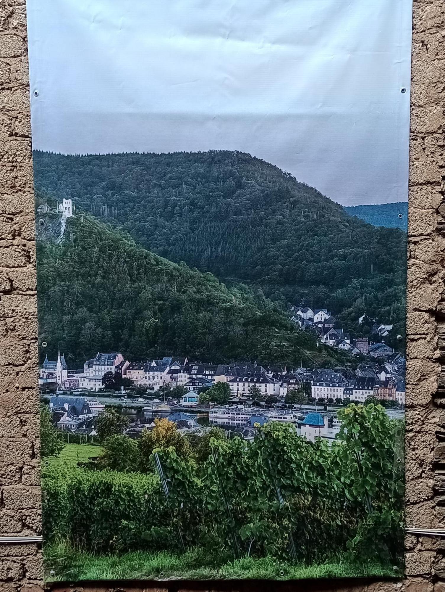 Alte Brennerei Apartments Traben-Trarbach Exteriör bild